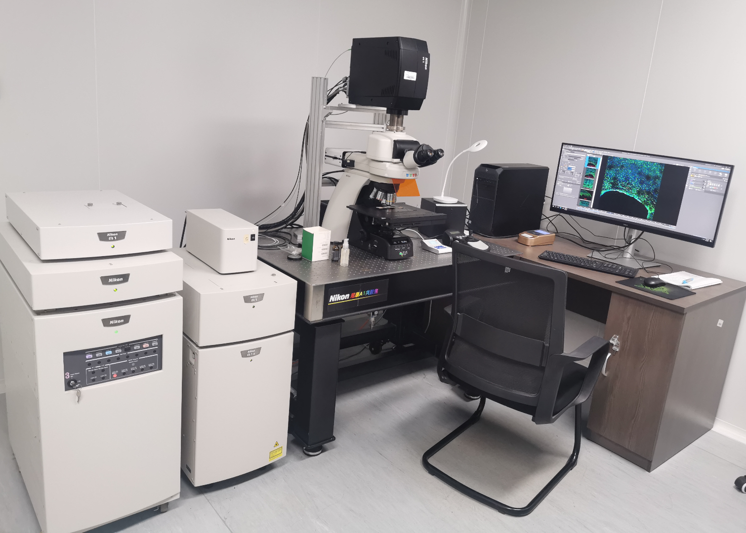 脑中心219正置共聚焦